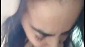 مجموعه ای از دانلود  ...