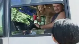 دو جانور شلوغ بر روی ...