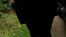 من به عنوان یک دانش  ...