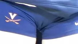 کیک یک گربه کاملاً ا ...