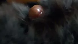 بیدمشک پدربزرگ پیر ز ...