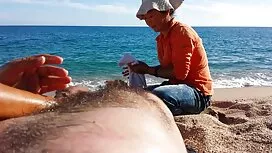 زاغه بازیگوش ، خروس  ...