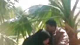 سبزه کل خروس لعنتی خ ...