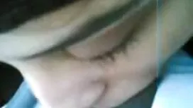 برت روسی برای گربه ع ...