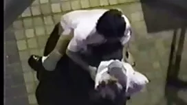 اسپرم ها در گربه داغ ...