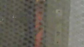 این دو مرد یک بلوند  ...